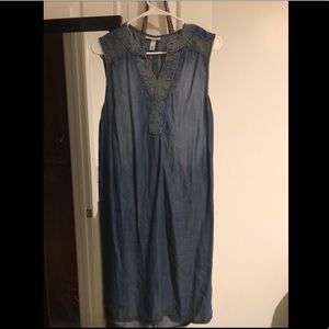 Liz Lange Maternity Chambray Dress